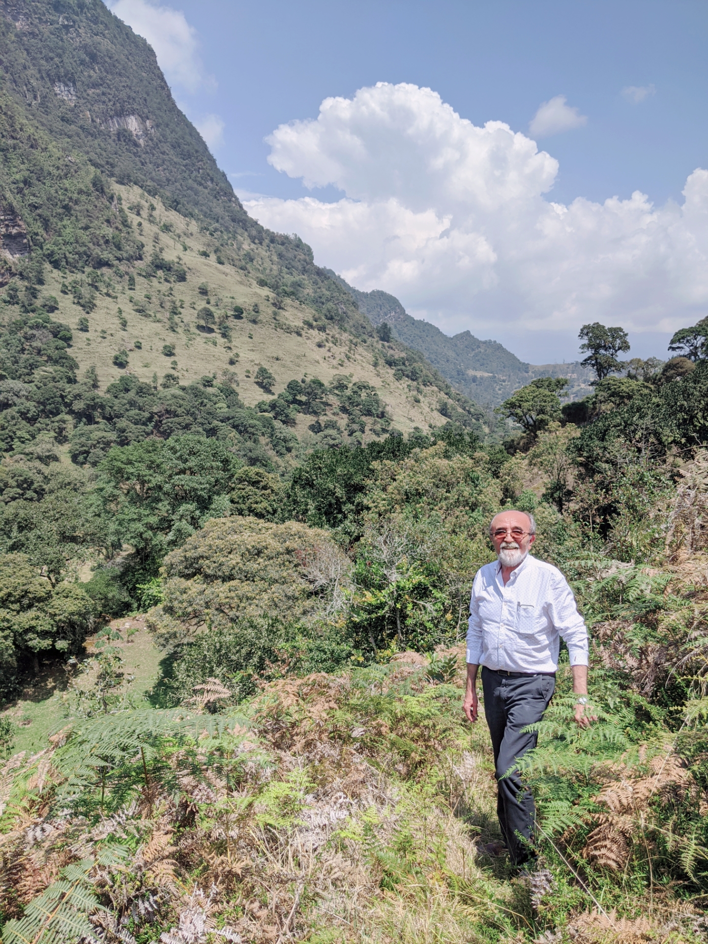 Dr. Carlos Riveros